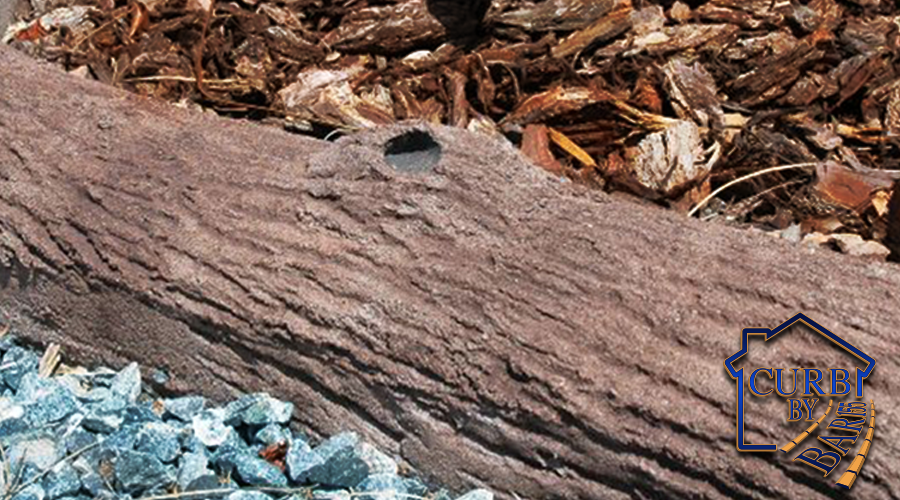 Bark Texture