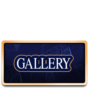 Gallery Button