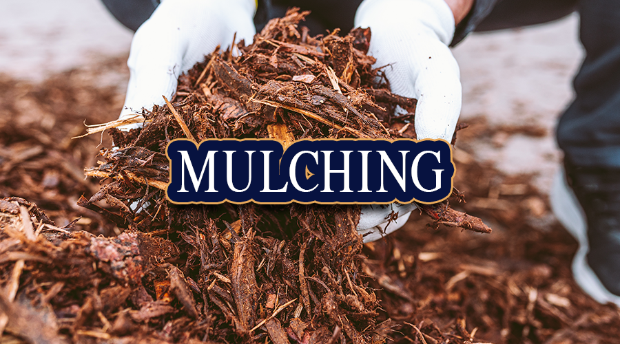 Mulching
